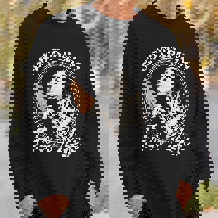 ダルメシアン 犬好きデザイン 美しいダルメシアン スウェットシャツ 彼への贈り物