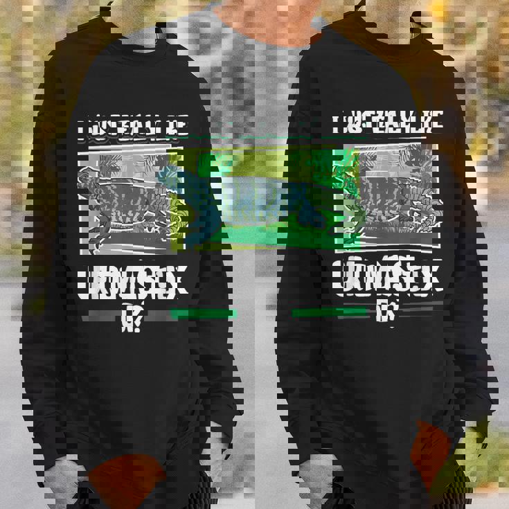 トゲオアガマが大好き スウェットシャツ 彼への贈り物