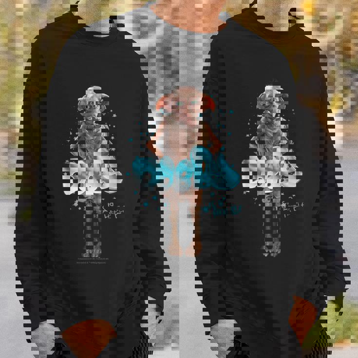 ハリーポッター 新デザイン 2025 ドビーフリーエルフ スウェットシャツ 彼への贈り物