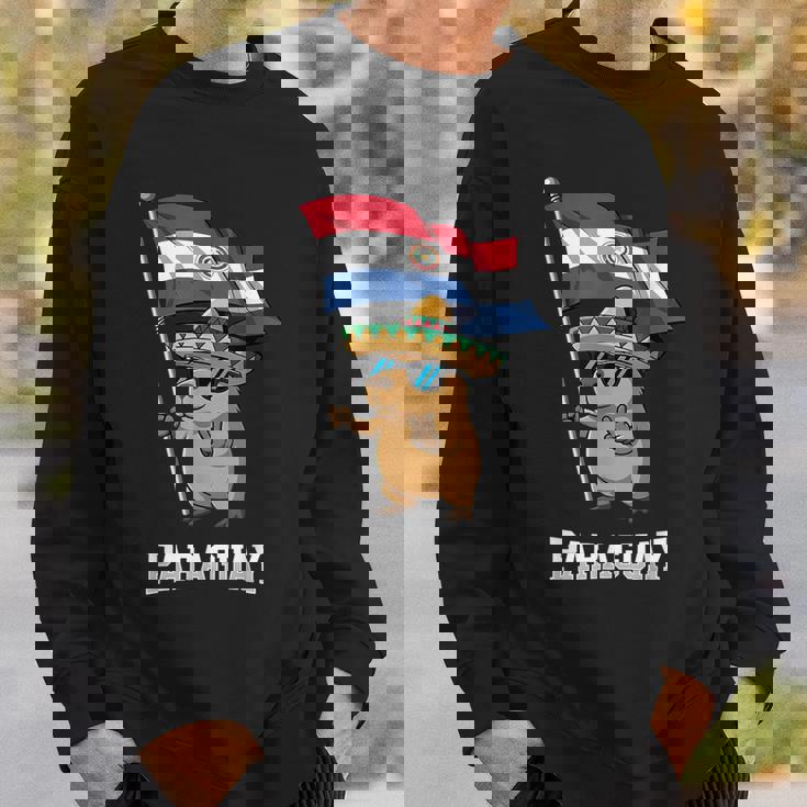 パラグアイ国旗 パラグアイのプライド スウェットシャツ 彼への贈り物