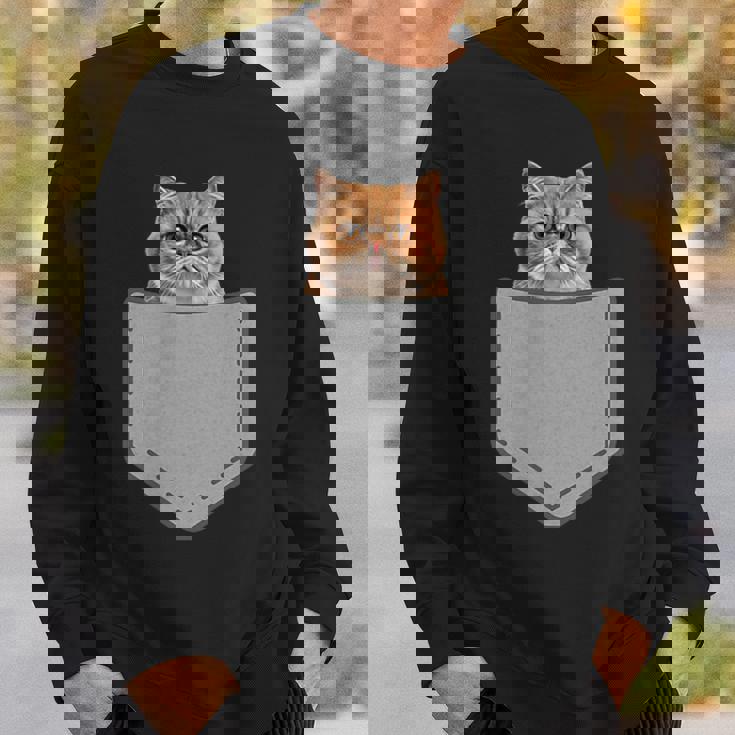 ファニーエキゾチックショートヘア猫 スウェットシャツ 彼への贈り物