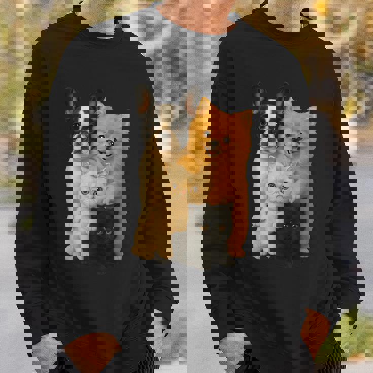 フレンチブルドッグ ポメラニアン エキゾチック ショートヘア マンチキン 猫 スウェットシャツ 彼への贈り物