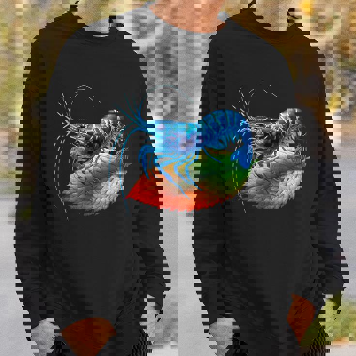 ブルーチェリー シュリンプ ブリーダー ネオカラディナ 淡水水槽 スウェットシャツ 彼への贈り物