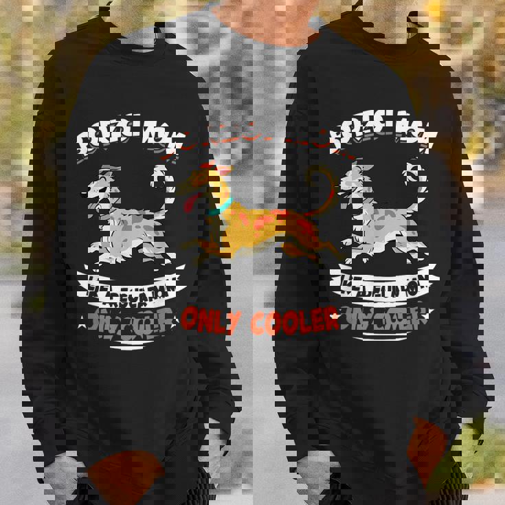 ボルゾイママ、まるで普通のママ専用クーラー-ボルゾイ犬 スウェットシャツ 彼への贈り物