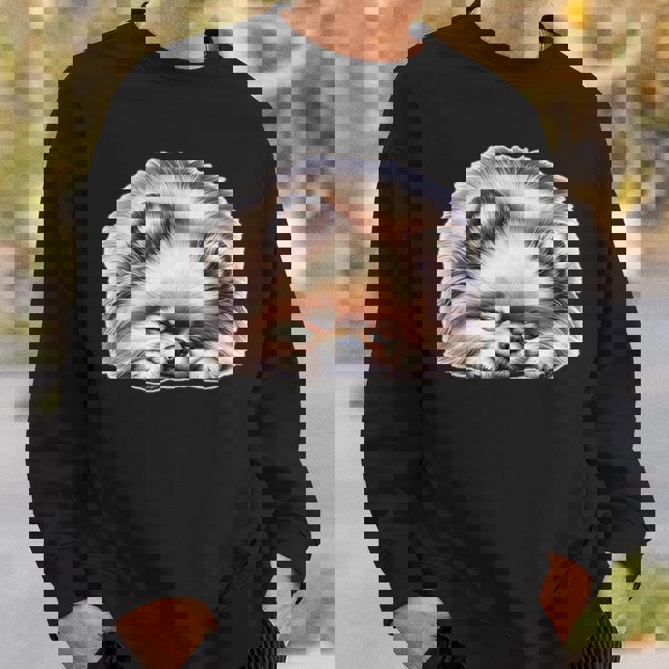 ポメラニアン × ポメラニアン 犬 寝ている スウェットシャツ 彼への贈り物