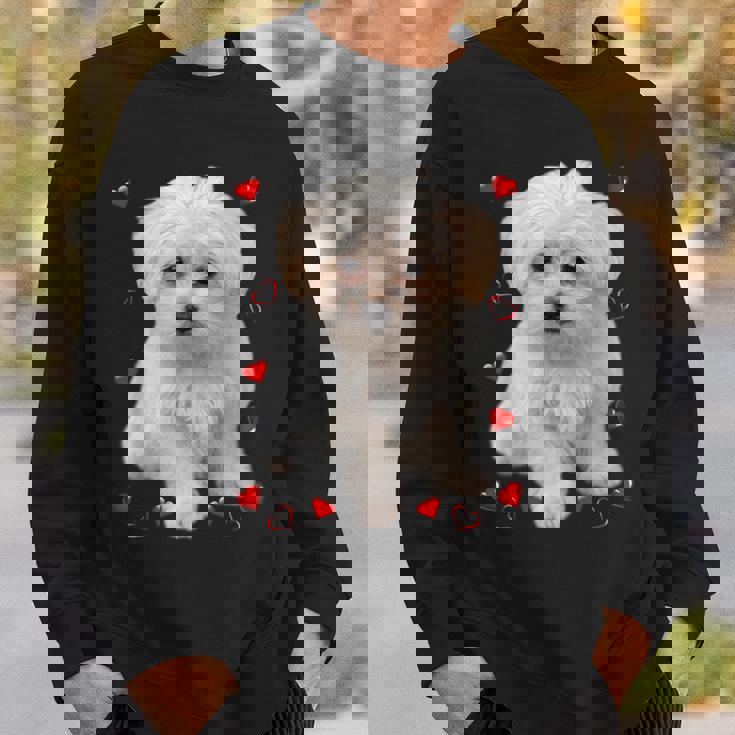 マルチーズ 犬 オーナー ラバー デザイン 子犬 ハート デザイン スウェットシャツ 彼への贈り物