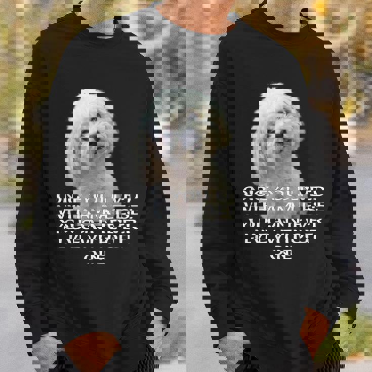 マルチーズ犬愛好家 子犬オーナー 真の愛 引用句デザイン スウェットシャツ 彼への贈り物