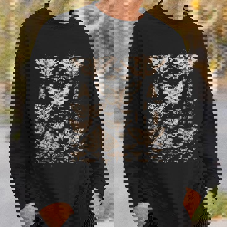 ヴィンテージ 蛾 蝶 自然 イラスト アート スウェットシャツ 彼への贈り物