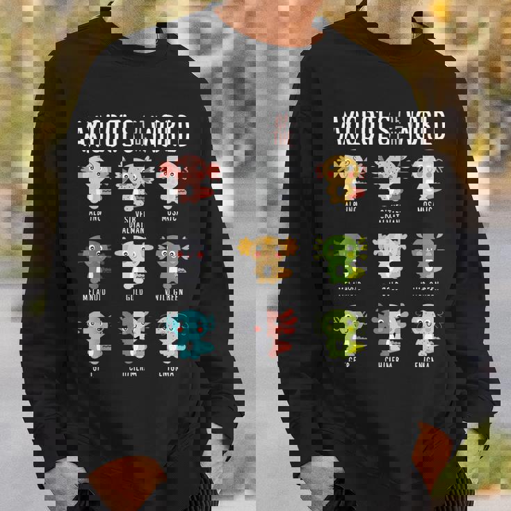 世界のウーパールーパー両生類動物好きカワイイ スウェットシャツ 彼への贈り物