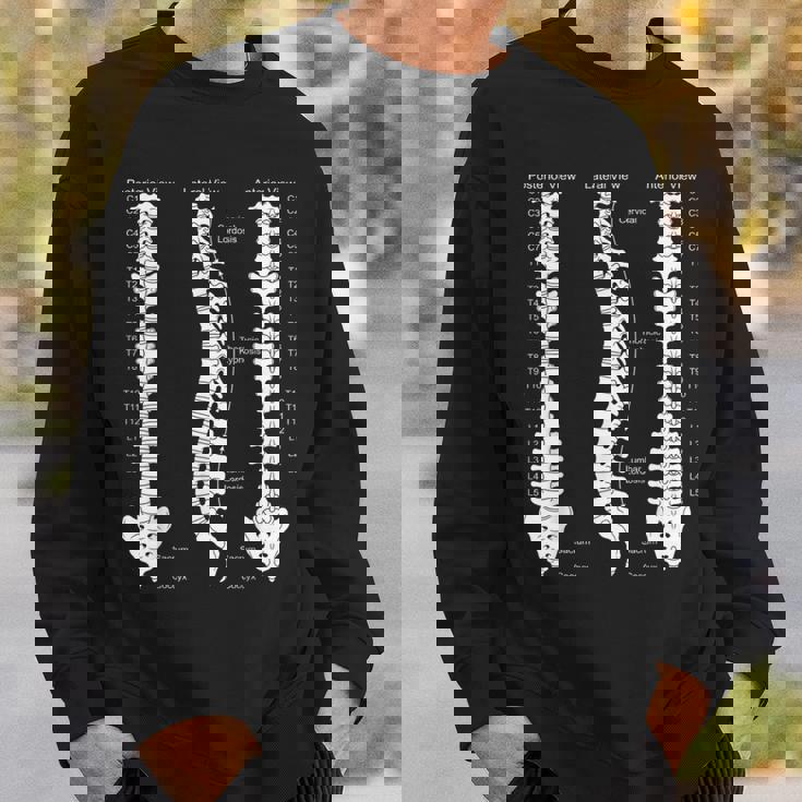 人間の脊椎解剖学カイロプラクティック図 スウェットシャツ 彼への贈り物