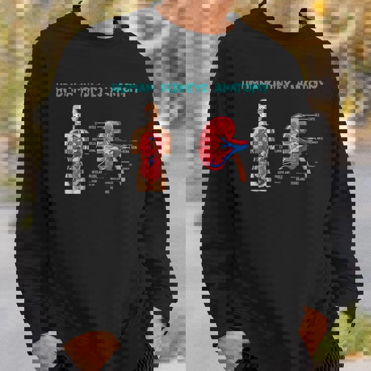 医療従事者のためのヒト腎臓の解剖学 スウェットシャツ 彼への贈り物