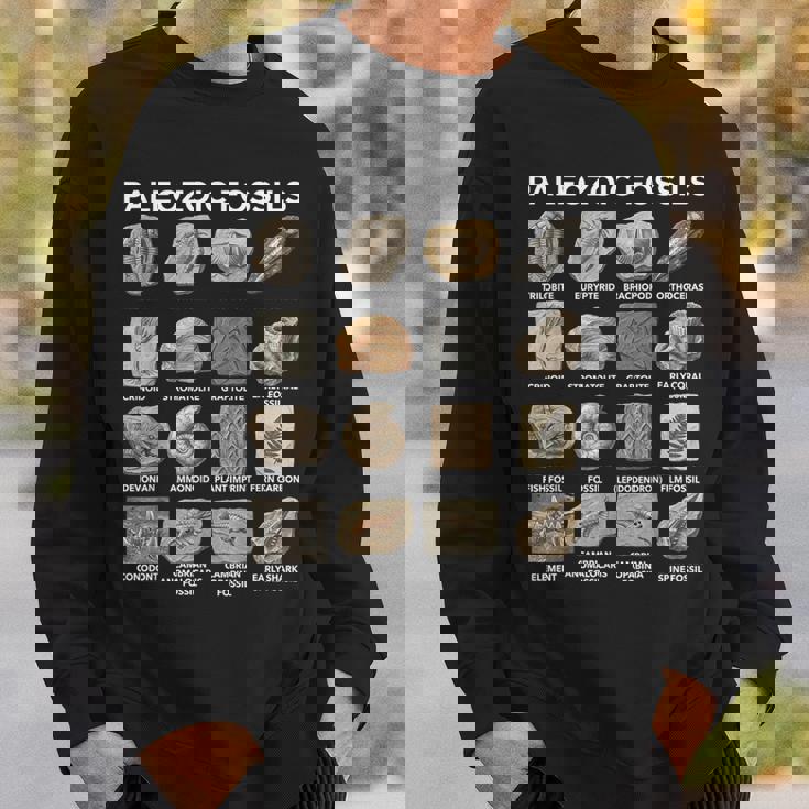 古生代化石チャート古生物学科学愛好家 スウェットシャツ 彼への贈り物