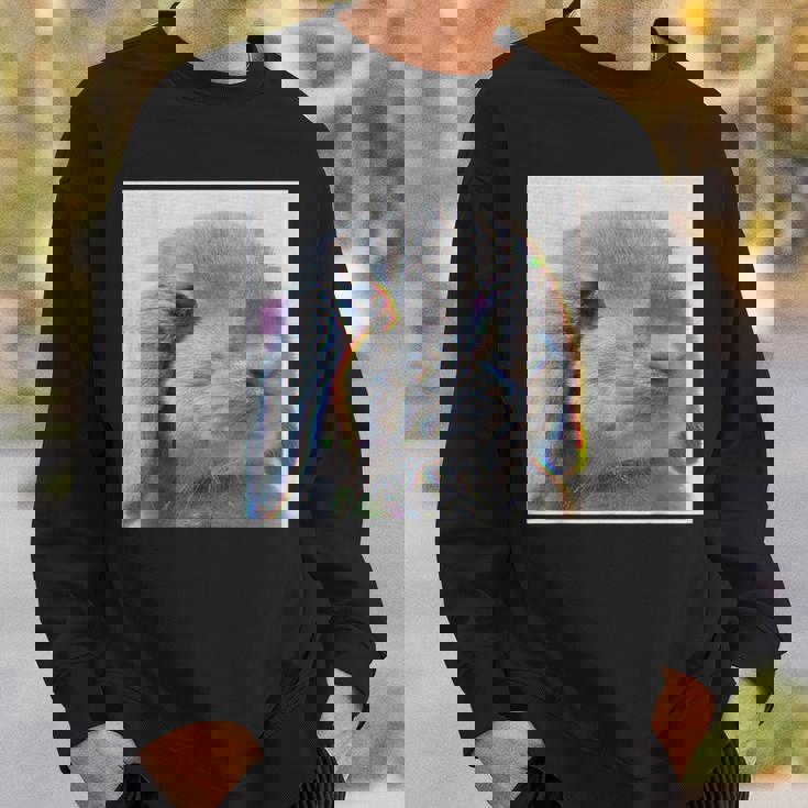 垂れ耳うさぎのレトロ写真 スウェットシャツ 彼への贈り物