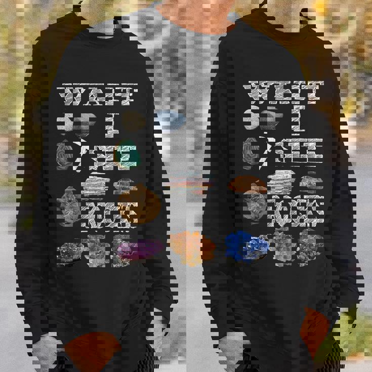 待って、Iee Rocks Rockhound Geology Rock Collection スウェットシャツ 彼への贈り物