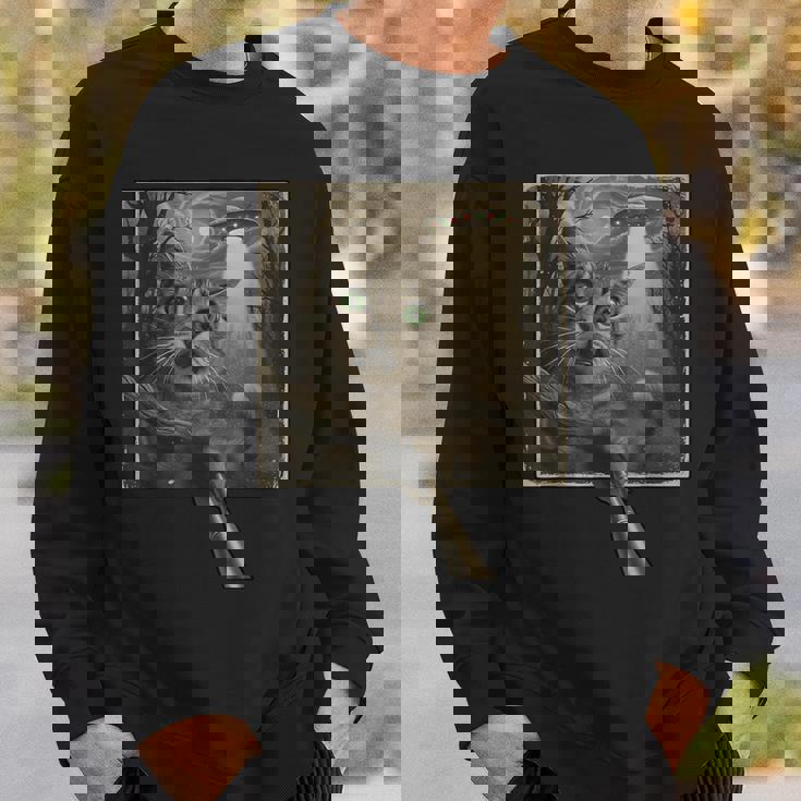 面白いsf自撮り猫とエイリアンビジターの不気味な瞬間。 スウェットシャツ 彼への贈り物