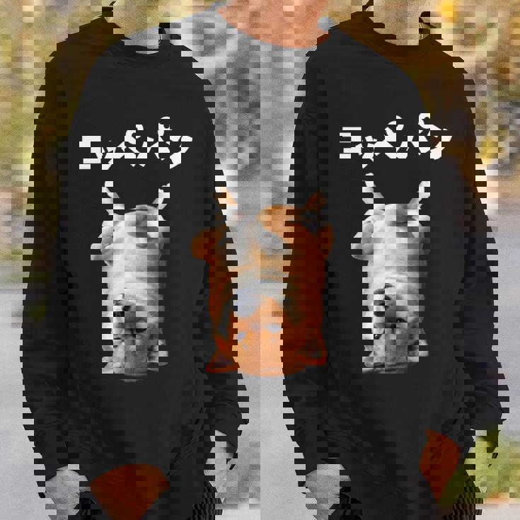 面白いtシャツ 柴犬 犬 イヌ コッペパン メンズ 犬好き グッズ かわいい おもしろ 面白い 服 ネタ 長袖tシャツ スウェットシャツ 彼への贈り物