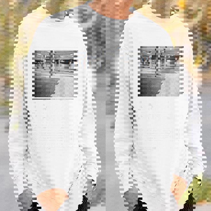 Liminalpaces バックプリントaporwave バックルーム パステルゴス スウェットシャツ 彼への贈り物