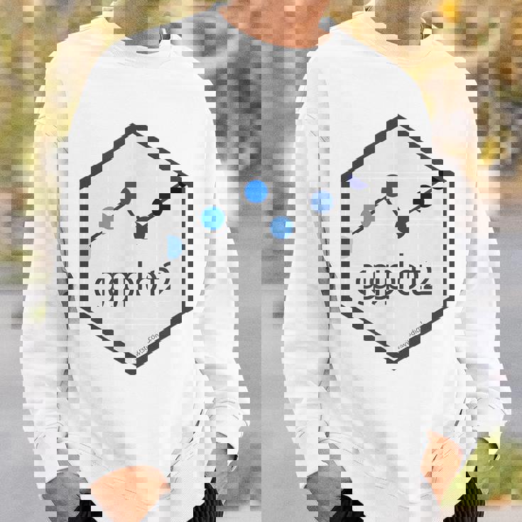 R Programming Ggplot2 六角tシャツ Rstudio Tidyverse Rstats スウェットシャツ 彼への贈り物