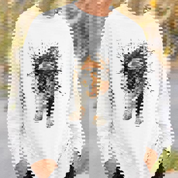 その壁を打ち破れ 三毛猫 福猫 面白 スウェットシャツ 彼への贈り物