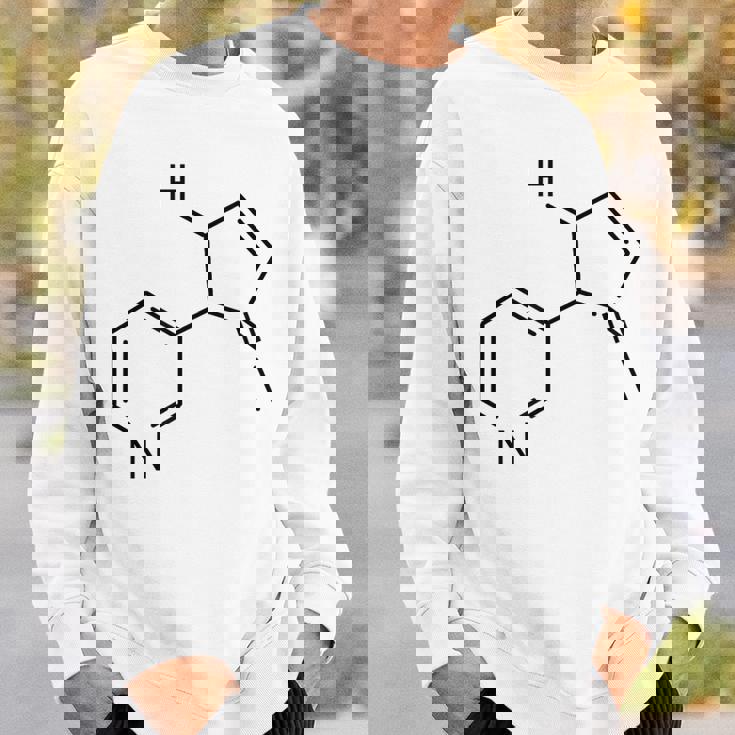 ニコチンの化学構造 スウェットシャツ 彼への贈り物