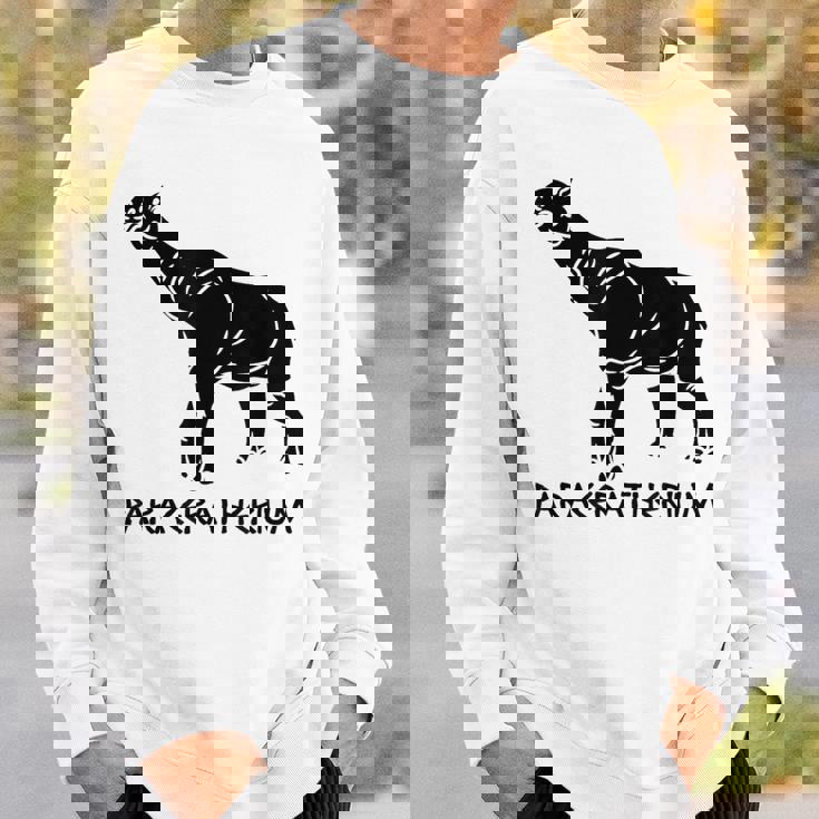 パラケラテリウム 絶滅動物 サイ 古生物学 スウェットシャツ 彼への贈り物