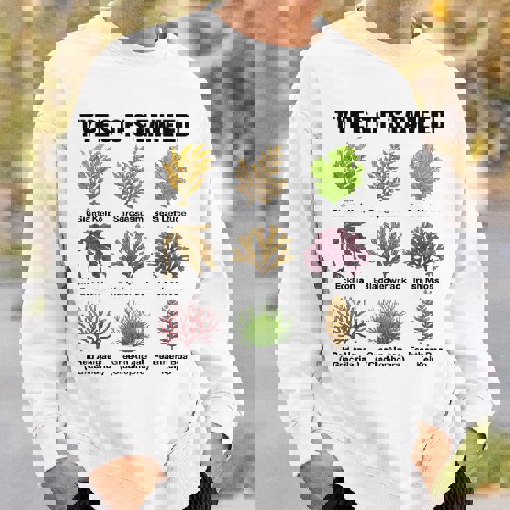 海藻の種類、海藻種チャート、海藻の種類 スウェットシャツ 彼への贈り物