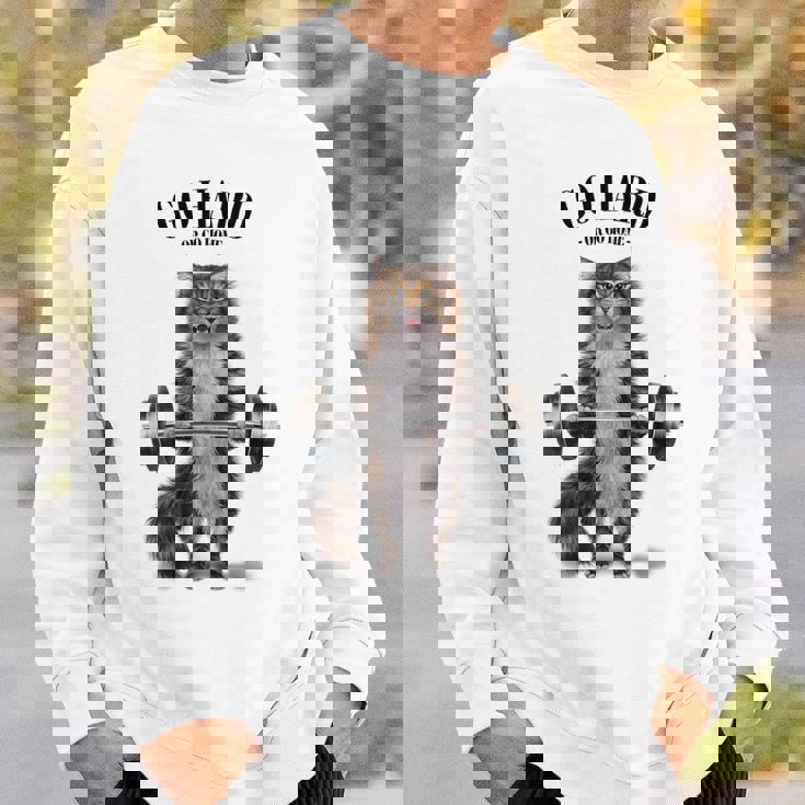 筋トレ ジム やる気がないなら家に帰れ トラ猫 ねこ スウェットシャツ 彼への贈り物