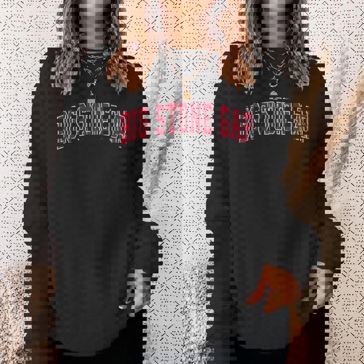 Bigtone Gap バージニアa ヴィンテージ スポーツデザイン レッドデザイン スウェットシャツ 彼女への贈り物