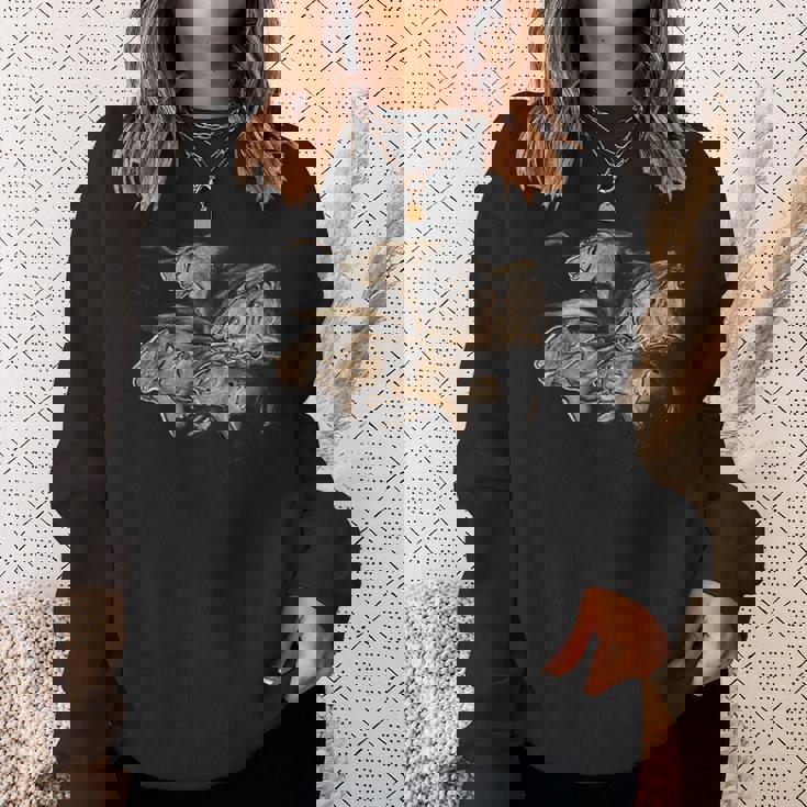 Chauvetのライオンの先史時代の石器時代の洞窟壁画 スウェットシャツ 彼女への贈り物