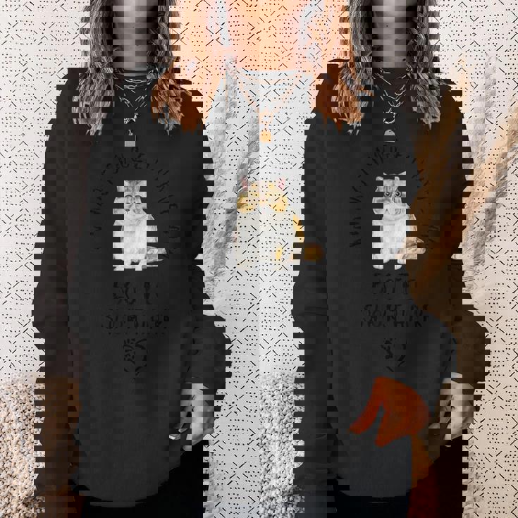 I'm Notingle I Have My Exotichorthairalentine's Day ネコ スウェットシャツ 彼女への贈り物