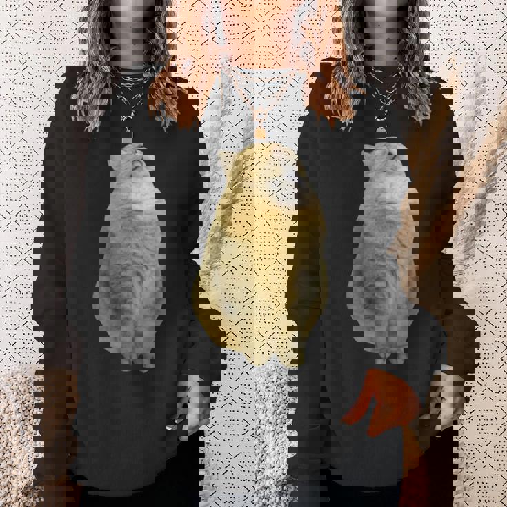 Meme Yellow Cat leep Internetiral スウェットシャツ 彼女への贈り物