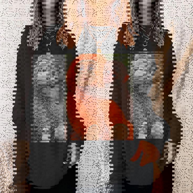 Punch The Monkey Meme X Ape Cute Punch Monkey Baby Meme スウェットシャツ 彼女への贈り物