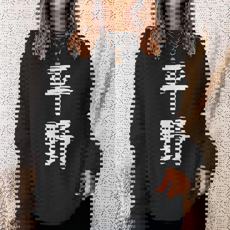 おもしろtシャツ【平野】名字 家族お揃い ギャグ ネタ ウケ狙い 贈り物 ギフト スウェットシャツ 彼女への贈り物