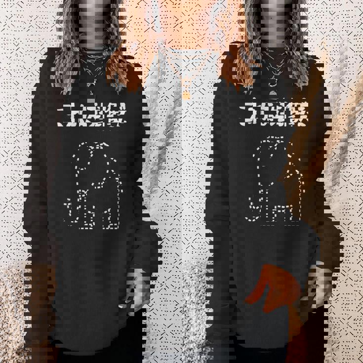 これは残像だ 象 ゾウ ジョーク ダジャレ オヤジギャグ おもしろ ネタ スウェットシャツ 彼女への贈り物