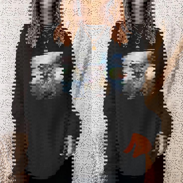 アジアパームシベット パラドクスルス ヘルマプロディタス スウェットシャツ 彼女への贈り物