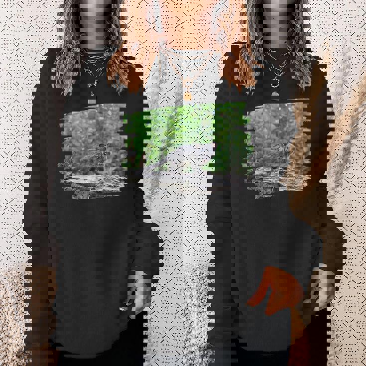 アフリカンパームシベット スウェットシャツ 彼女への贈り物