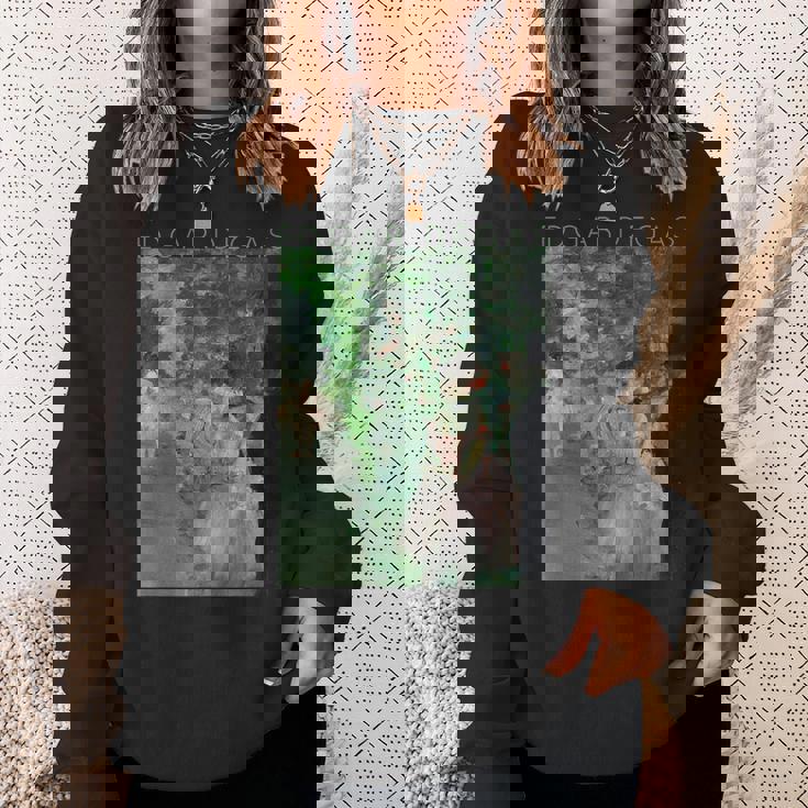 アーティストやバレリーナのための舞台裏エドガー・ドガ・ダンサーズ スウェットシャツ 彼女への贈り物