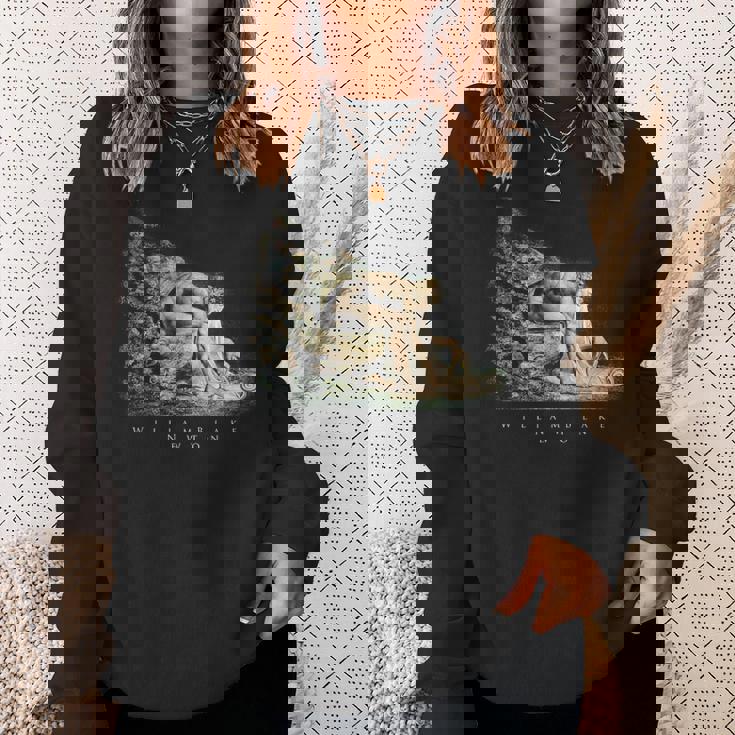 ウィリアム・ブレイク アイザック・ニュートンの肖像 物理学者 科学 芸術 William Blake Newton スウェットシャツ 彼女への贈り物