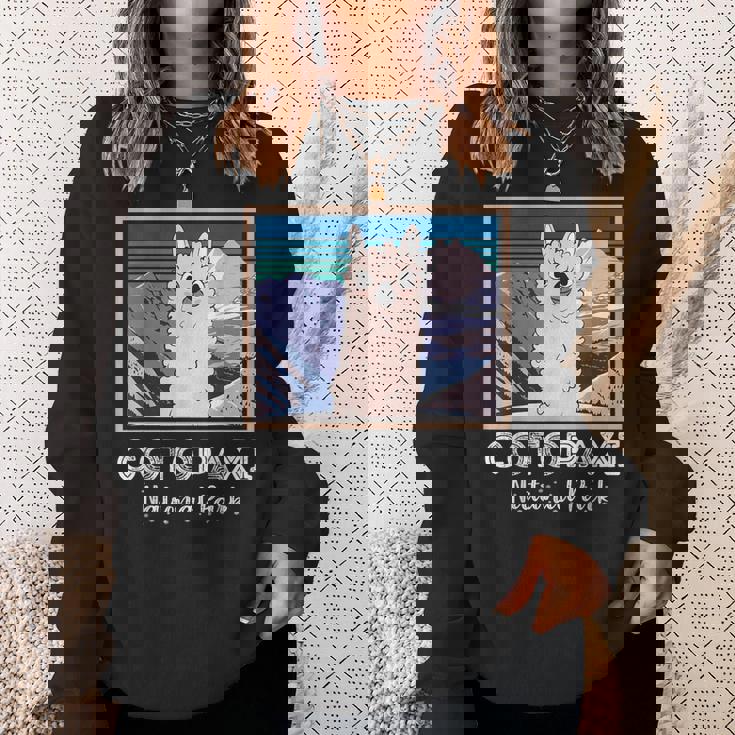 エクアドル山脈コトパクシ国立公園のかわいいラマ スウェットシャツ 彼女への贈り物