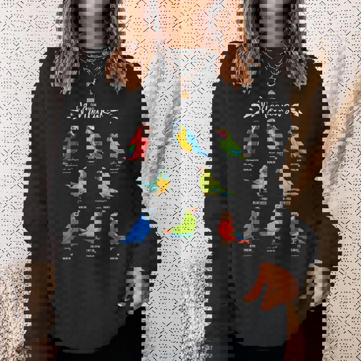 カラフルな8種のインコ コンゴウインコ スウェットシャツ 彼女への贈り物