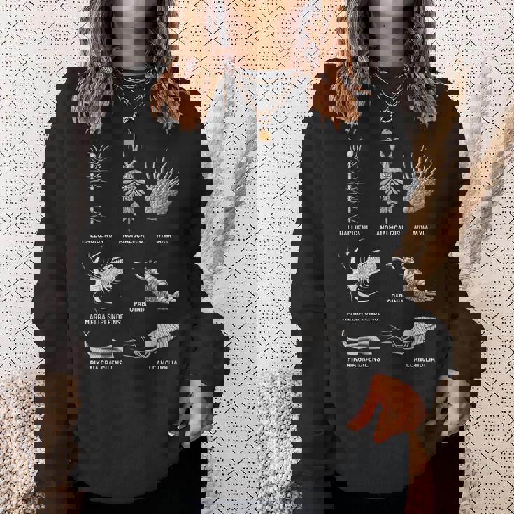 カンブリア紀 生き物 化石 古美術 進化 科学 恋人 スウェットシャツ 彼女への贈り物