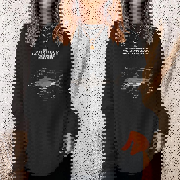 サメの解剖学解剖学者 スウェットシャツ 彼女への贈り物