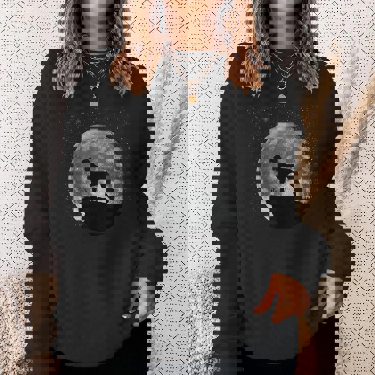 サルーキ デザイン スウェットシャツ 彼女への贈り物