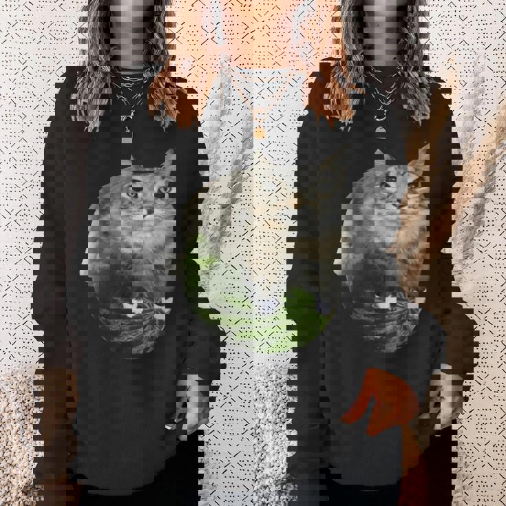 スイカ猫ミーム スウェットシャツ 彼女への贈り物