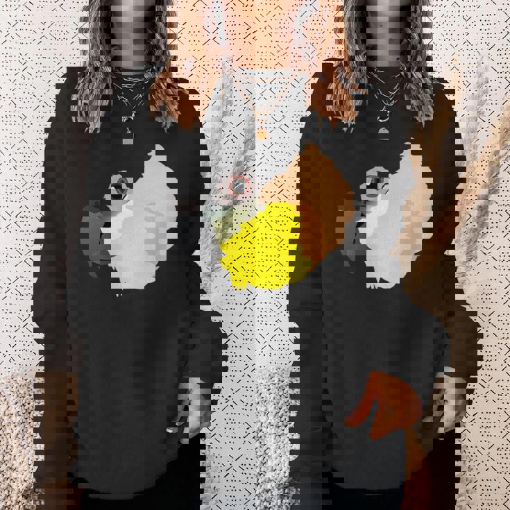 ズグロシロハラインコ 長袖tシャツ スウェットシャツ 彼女への贈り物