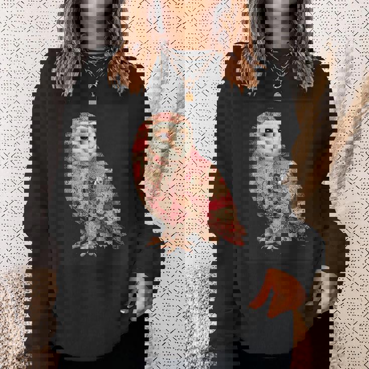 ハート柄の奇抜なパッチワークフクロウ スウェットシャツ 彼女への贈り物