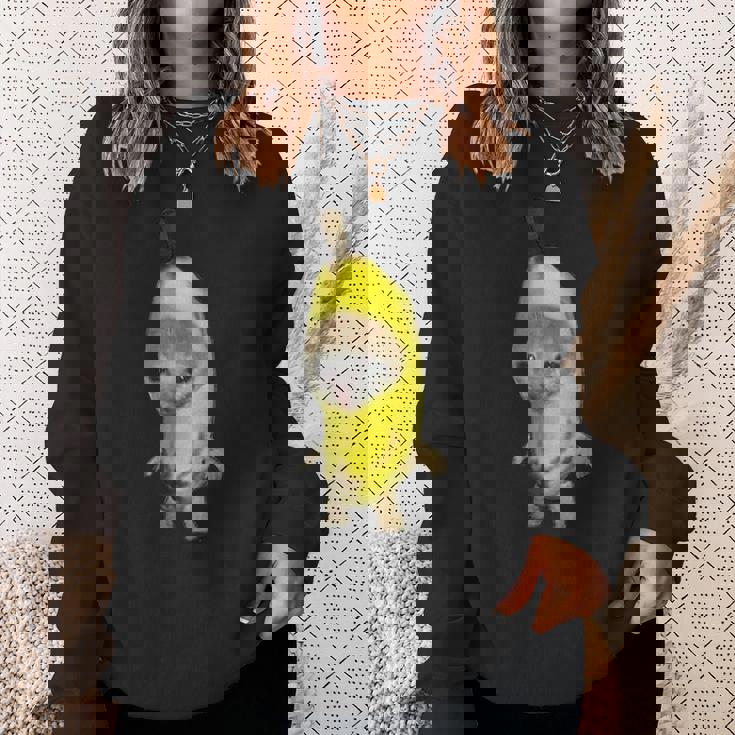 バナナキャット ファニーミーム スウェットシャツ 彼女への贈り物