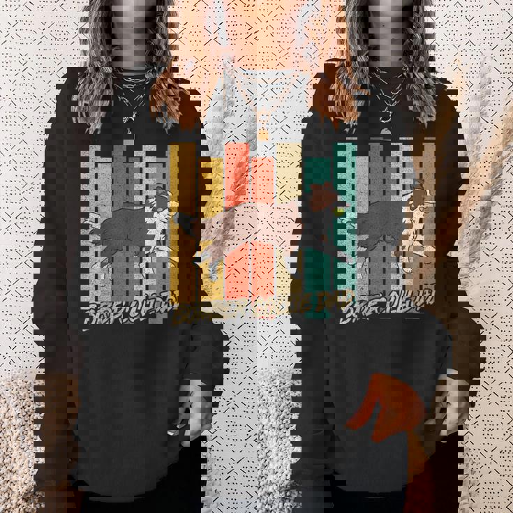 ビンテージ レッドボーダーコリー 犬 お父さん 犬 飼い主 父の日 スウェットシャツ 彼女への贈り物