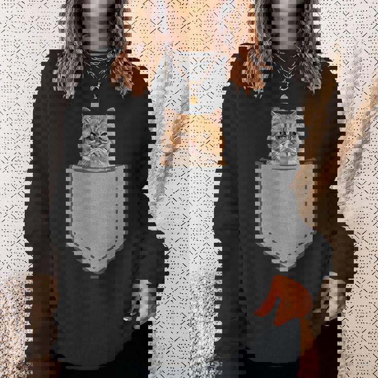 ファニーエキゾチックショートヘア猫 スウェットシャツ 彼女への贈り物