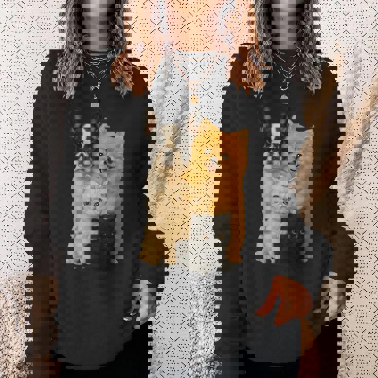 フレンチブルドッグ ポメラニアン エキゾチック ショートヘア マンチキン 猫 スウェットシャツ 彼女への贈り物